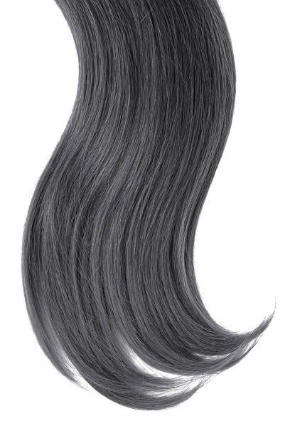 istock Black natural hair on white background 942167176