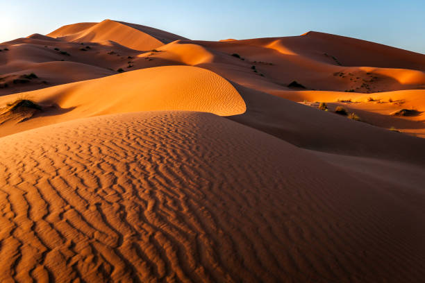 日の出、モロッコ、北アフリカで erg チェビ砂丘 - desert landscape morocco sand dune ストックフォトと画像
