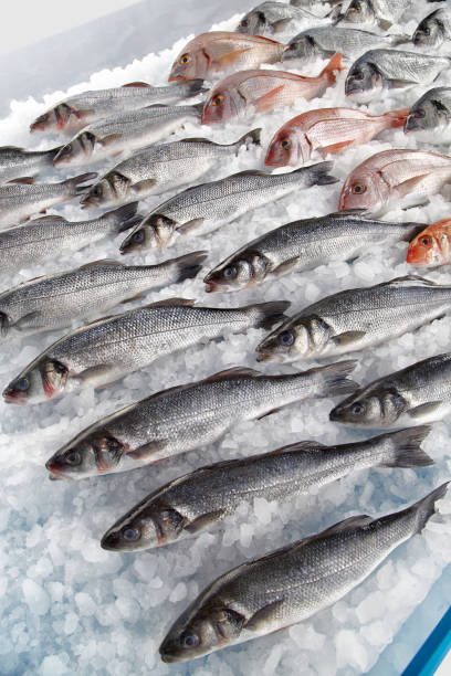 istock Fresh fishes on ice 942175458