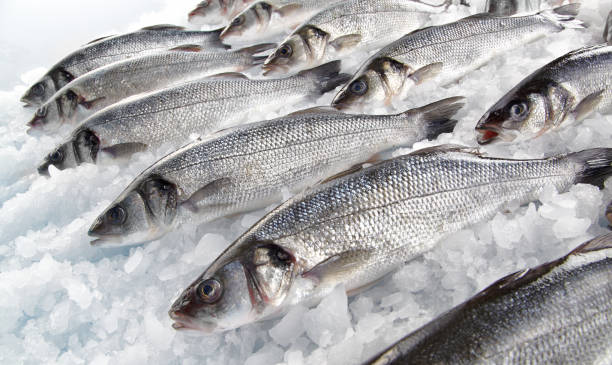 istock Fresh fishes on ice 942175694
