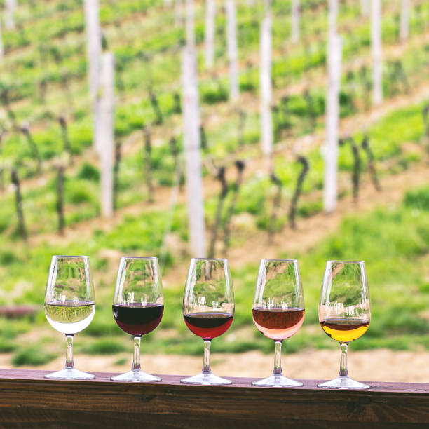 istock Glasses with wine. Red, pink, white wine in glasses. 942176780