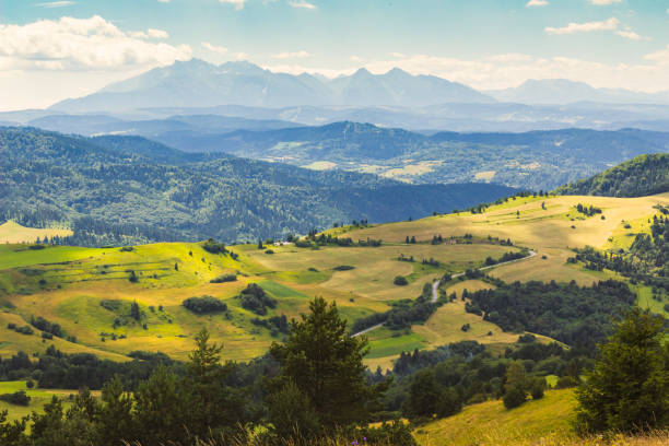 istock Summer mountain landscape in Pieniny, view on Tatra mountains 942180798