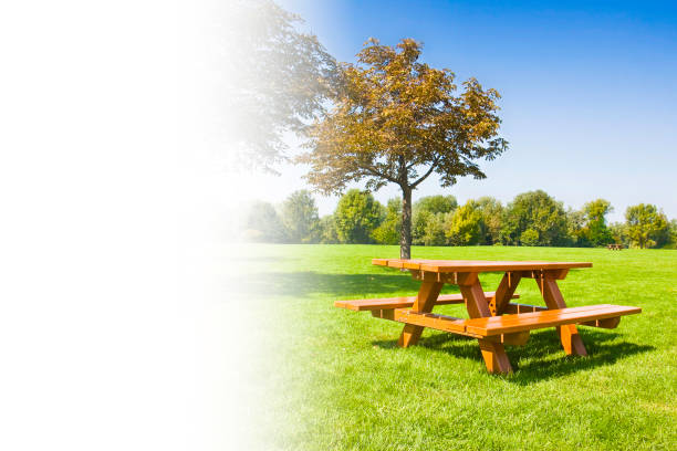 istock Picnic table on a green meadow with trees on background - concept image with copy space 942180920