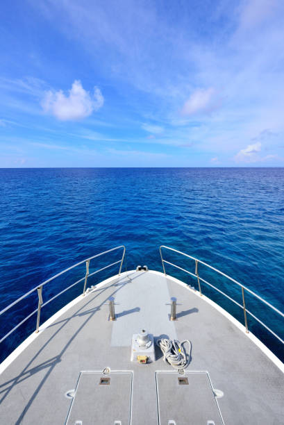istock The Yacht Sailing at Sea 942181052