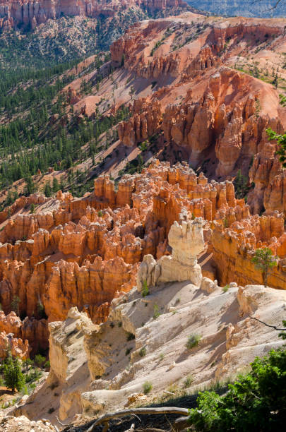 istock landscape on the bryce canyon 942181280