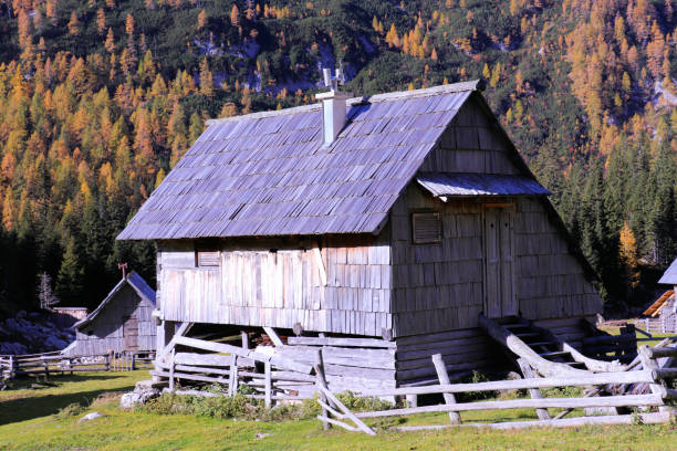 istock mountain cabin on a sunny day 942183572