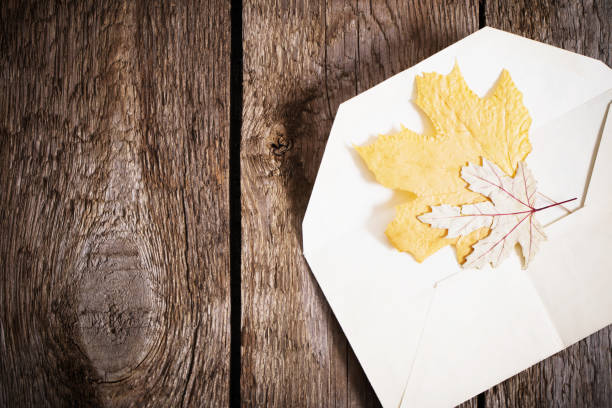 istock autumn leaves in  envelope on wooden background 942183832
