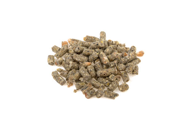istock granulated animal food on white background 942184538