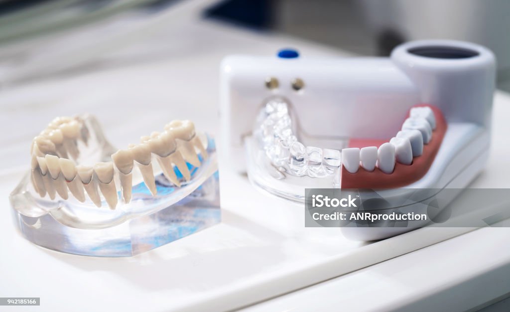 Dental model and dental equipment on white background, concept medical image of dental healtcare, dental hygiene Artificial Stock Photo