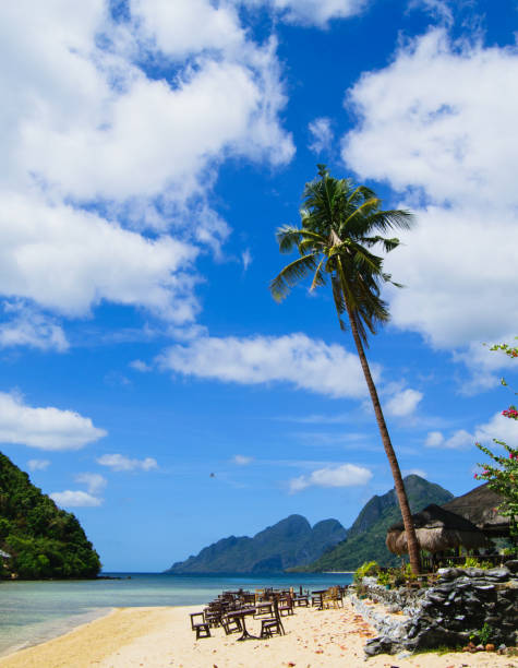 Palm on sky background, seascape in El Nido, Palawan island, Philippines Seascape in El Nido, Palawan island, Philippines sabang beach stock pictures, royalty-free photos & images