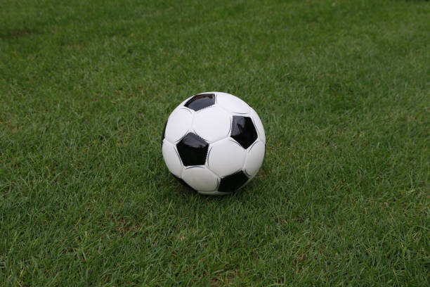 istock Closeup view soccer ball on green field 942190096