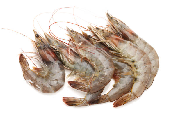 istock Fresh vannamei shrimp on white background 942190246
