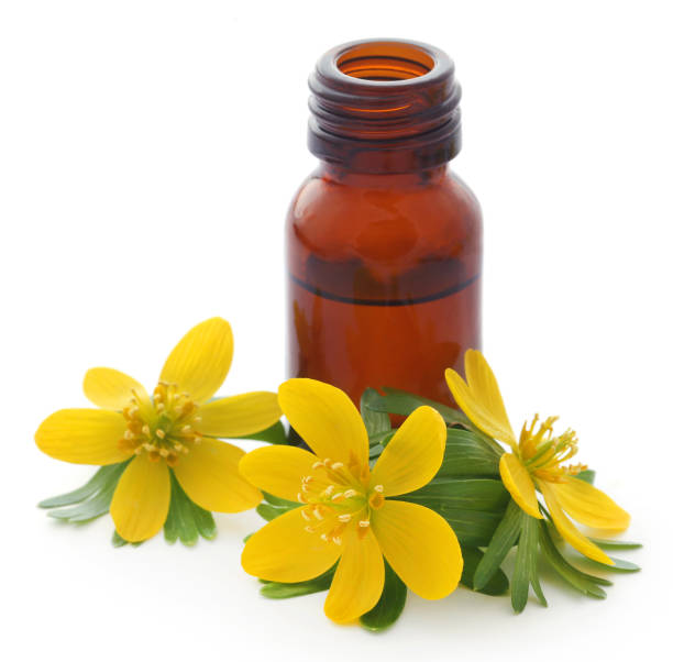 istock Eranthis hyemalis and medicinal extract 942191088