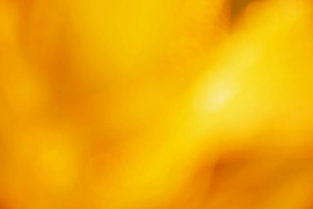 istock gold color abstract background with blurred defocus bokeh light for template 942192416