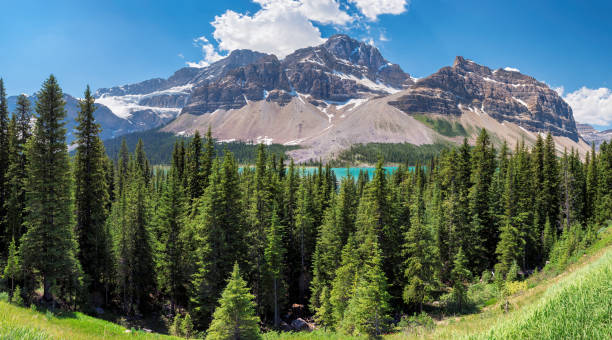 panorama des montagnes rocheuses, canada. - landscape national park lake louise moraine lake photos et images de collection