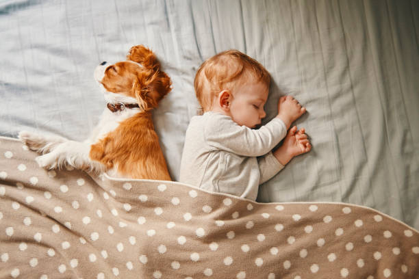 baby and his puppy sleeping peacefully stock photo