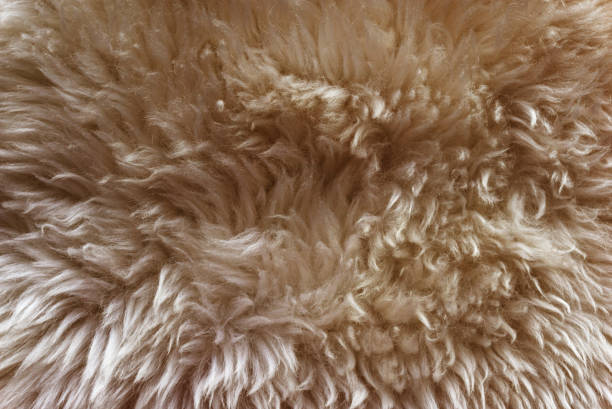 istock Brown soft wool texture background, cotton wool, light ginger natural sheep wool, close-up texture of white fluffy fur, wool with beige tone, fur with a delicate peach tint 942216850