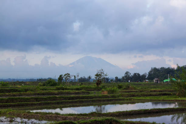 Mount Agung or Gunung Agung. A view of a sacred and famous Balinese volcano with a green rice field in the foreground. Bali Indonesia stock photo