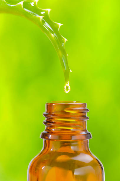 istock alternative medicine with herbal and homeopathic essence 942224932