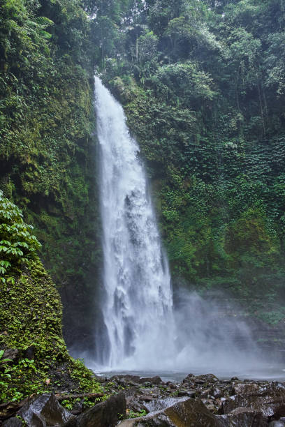 istock Beautiful Nungnung Waterfall on Bali, Indonesia 942226516