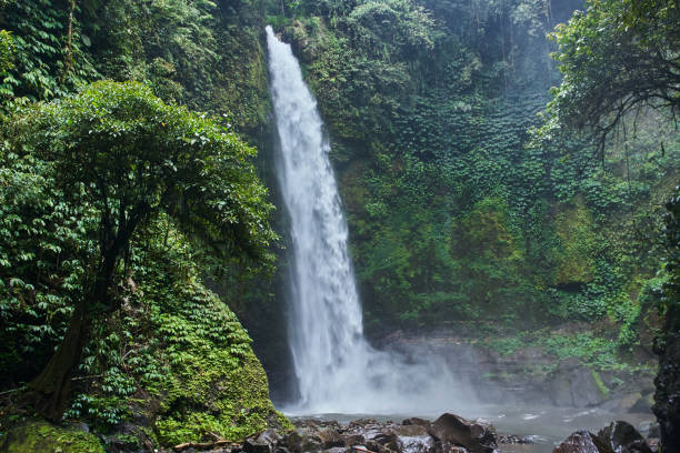 istock Beautiful Nungnung Waterfall on Bali, Indonesia 942226530