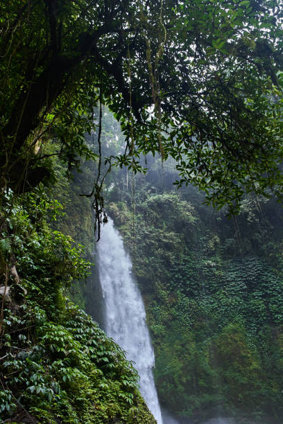 istock Beautiful Nungnung Waterfall on Bali, Indonesia 942226752
