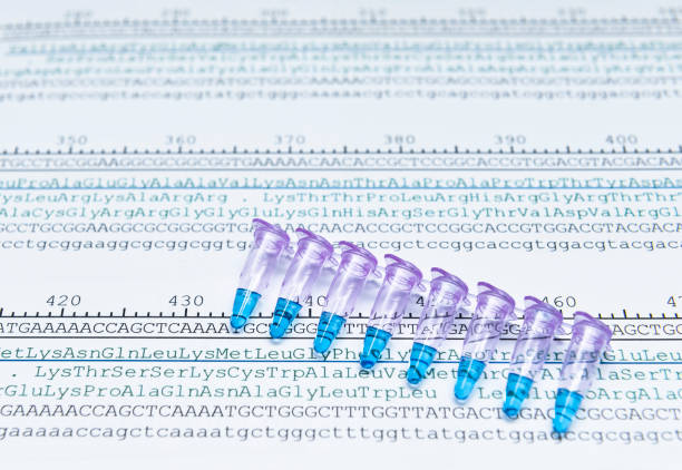 Protein sequencing by anaysis of codon of DNA sequence stock photo