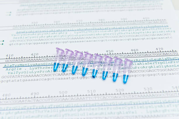 Protein sequencing by anaysis of codon of DNA sequence stock photo