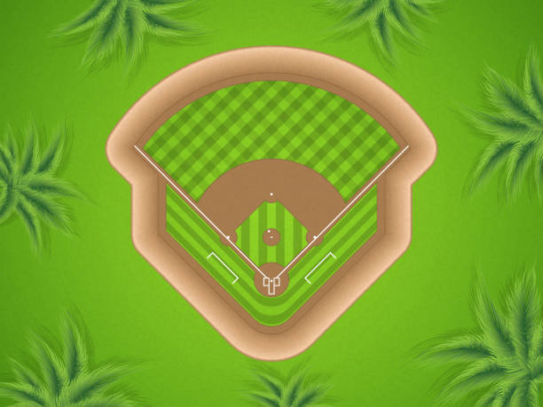 ilustraciones, imágenes clip art, dibujos animados e iconos de stock de campo de béisbol - baseball baseball diamond grass baseballs