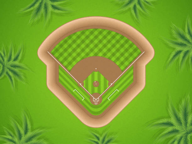 ilustrações, clipart, desenhos animados e ícones de campo de basebol - baseballs baseball baseball diamond grass