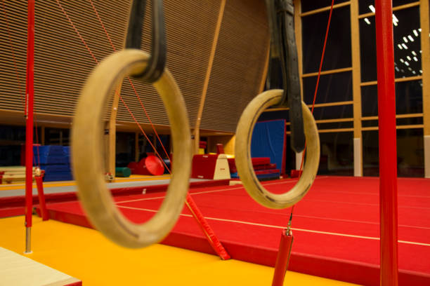 istock Gymnastic equipment in a gymnastic center 942229336