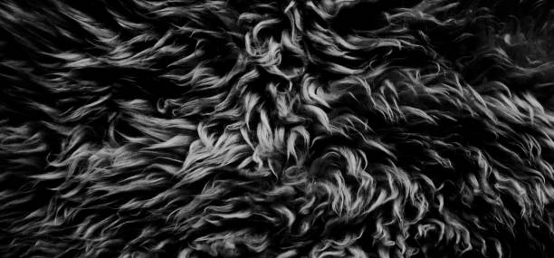 istock Black and white fluffy wool texture, dark natural wool background, fur texture close-up for designers, light long fur animal 942229500