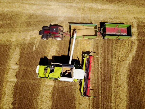 istock Aerial view of professional combine harvester machine overloading harvested wheat grain into the tank of the tractor-trailer on the field. 942230662