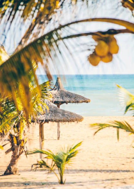 istock Tropical beach - West Africa, Benin 942230864