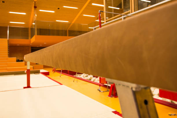 istock Gymnastic equipment in a gymnastic center 942233294
