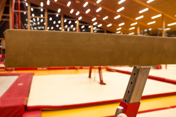 istock Gymnastic equipment in a gymnastic center 942233500