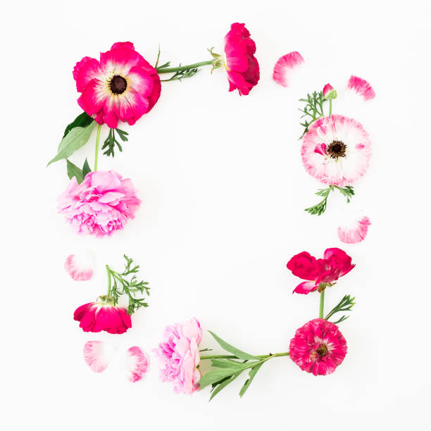 istock Floral frame of flowers on white background. Flat lay, Top view. Summer composition 942233572