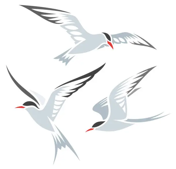 Vector illustration of Stylized Birds in flight