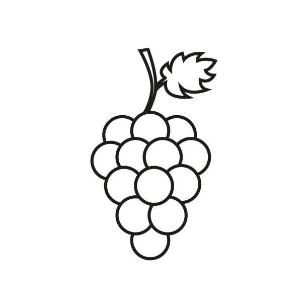 букет винограда с листом - vinifera stock illustrations