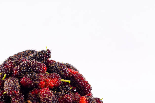 mora es una fruta dulce que está en fondo blanco aislado de alimentos de frutas de mora sano - tinción acidorresistente fotografías e imágenes de stock