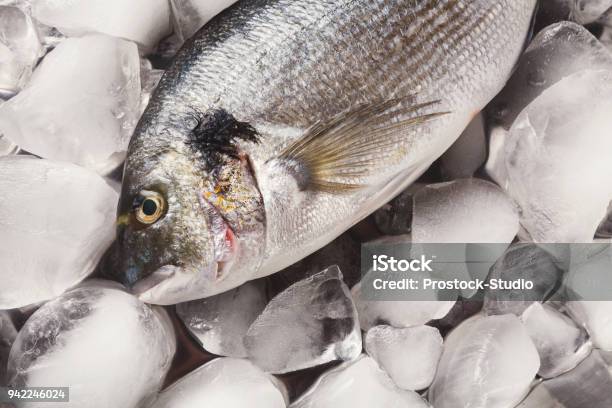 Fresh Dorado On Ice At Black Background Stock Photo - Download Image Now - Backgrounds, Cold Temperature, Cooking