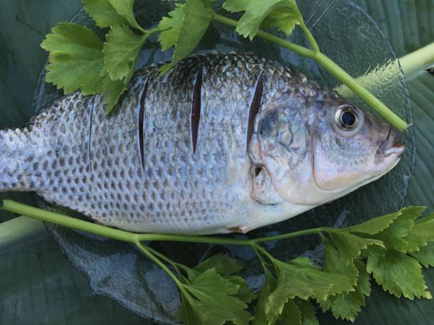 istock Tilapia with food menu by the restaurant. 942247006