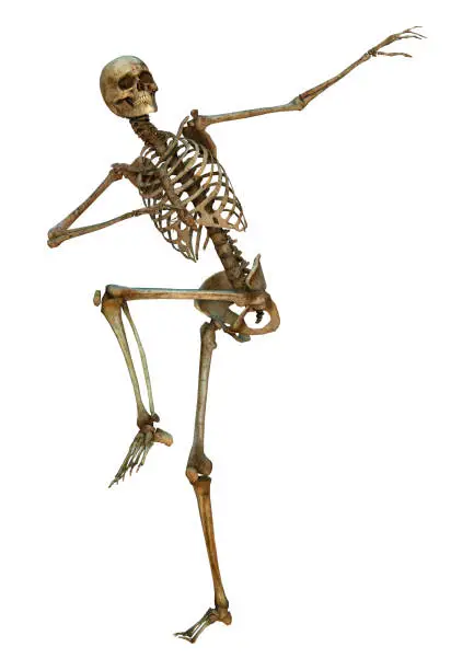 3D digital render of an old dancing human skeleton isolated on white background