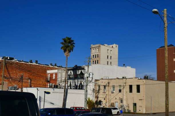 istock Wilmington rundown buildings backstreets set against a deep blue sky with a lone palm tree 942250462