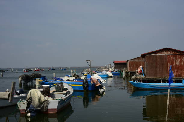 istock fishermen houses in Delta del Po ( Italy ) 942262156