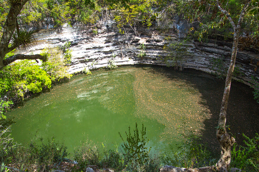 Cenote Sagrado, Sacred Water hole of  Chichen Itza. Yucatan, Mexico