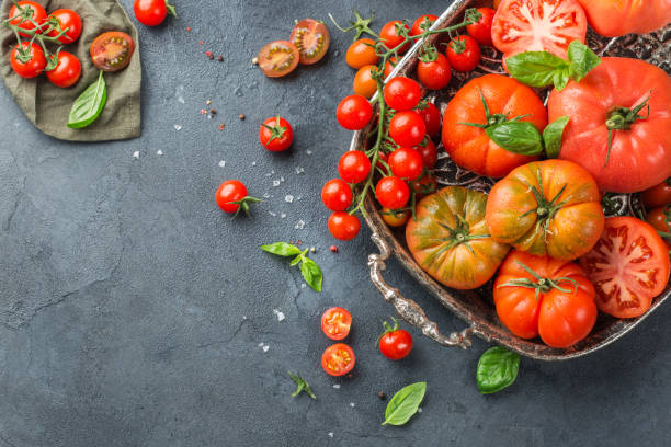 surtido de tomates maduro agricultor orgánico rojo sobre una mesa - sales growth fotografías e imágenes de stock