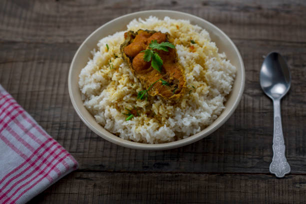 poisson au curry avec du riz cuit servi dans un bol - panang curry photos et images de collection