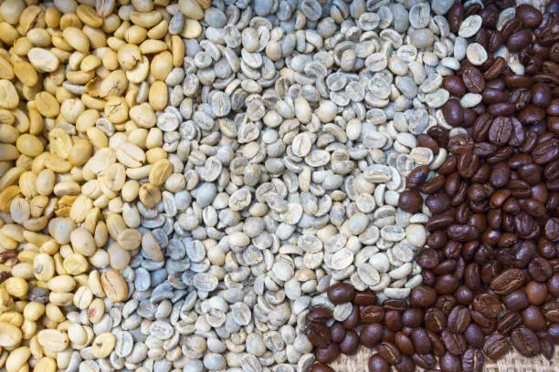 Photo of pile of Coffee Beans, three kind of coffee bean. Dark, Medium, Light Roast. coffee and barista business concept.