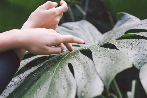istock Close-up of hand on leaf 942301816